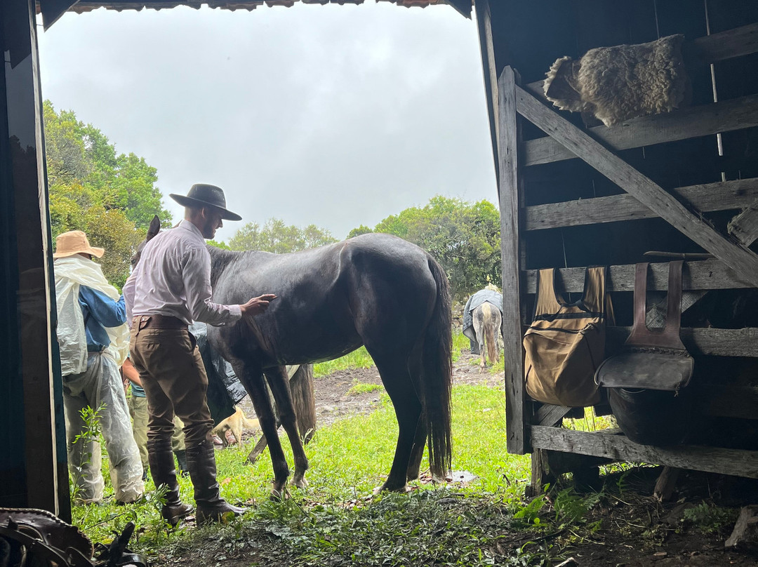 Cavalgadas Urubici-Urubici必去景点