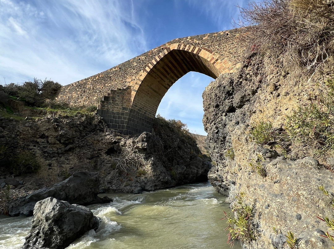 Ponte dei Saraceni景点图片