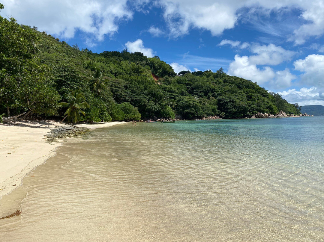 Anse Marie-Louise Beach景点图片