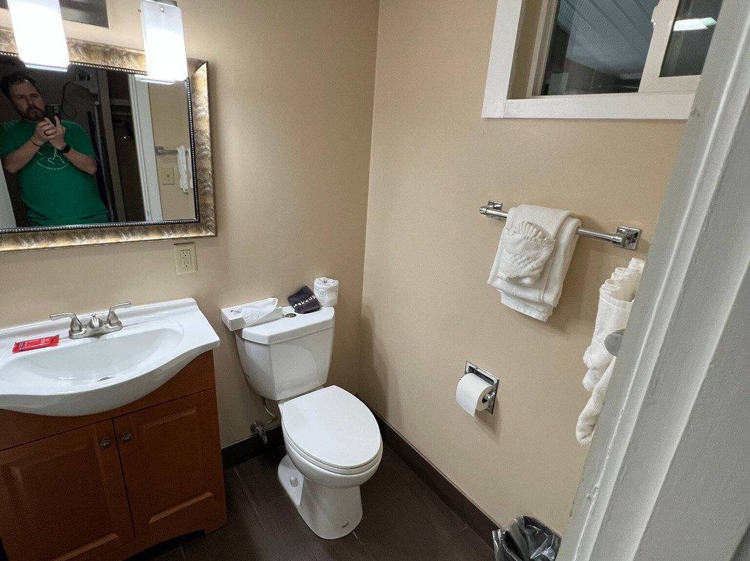 The Putney Inn主图