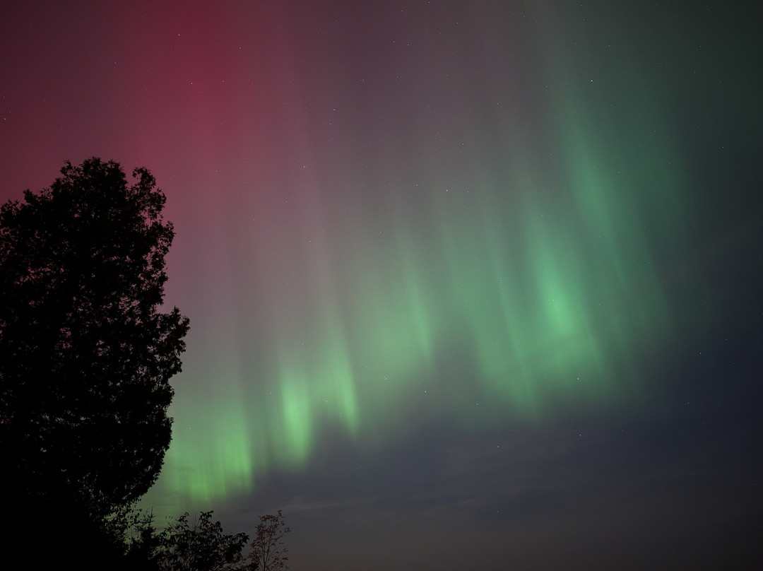 Forest The Canoe-Goulais River必去景点