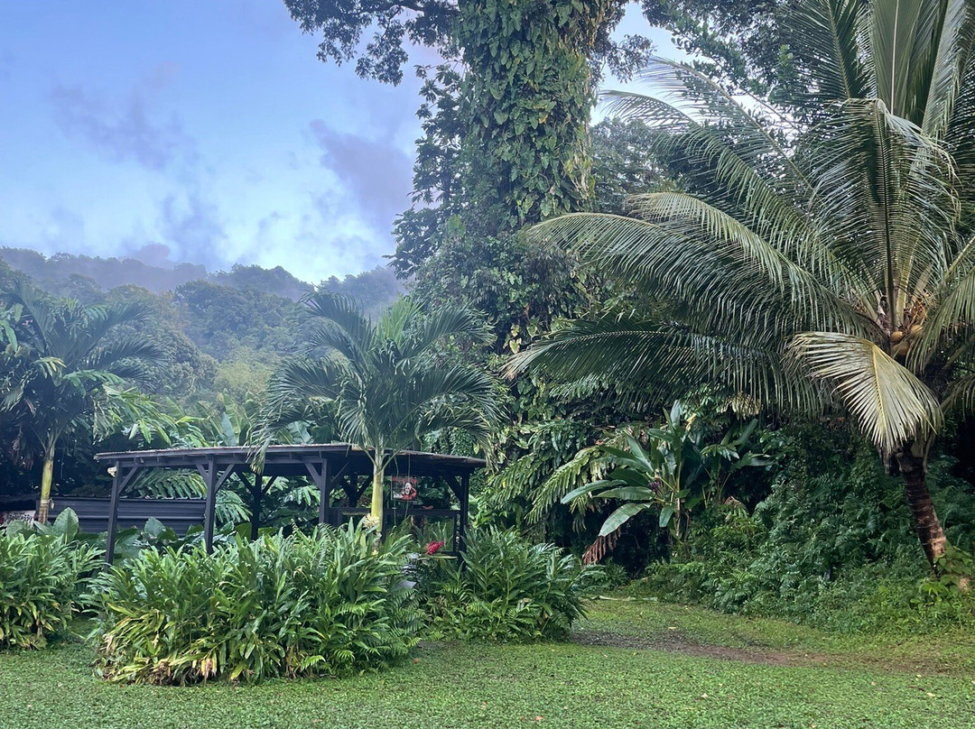 boulikibio-Saint-Joseph必去景点