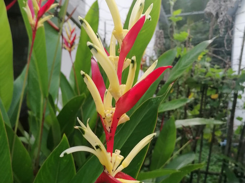 Vietnam Private Travel-胡志明市必去景点