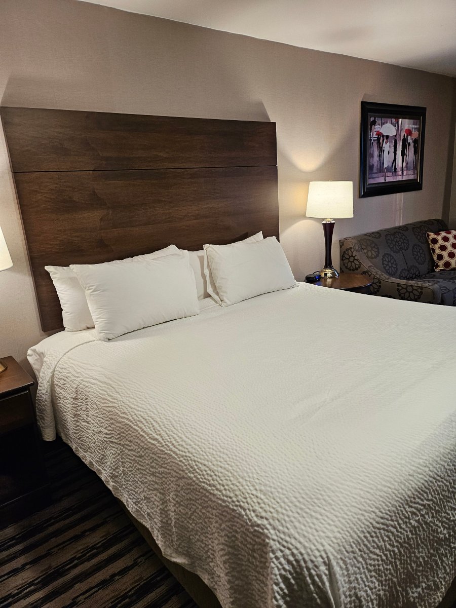 科罗尼尔酒店-官方