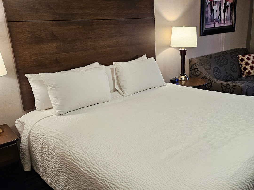 科罗尼尔酒店主图