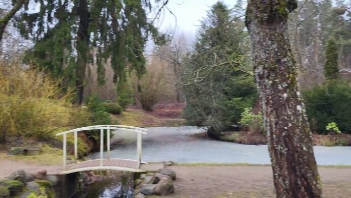 Dendrological Park Lazdukalni景点图片