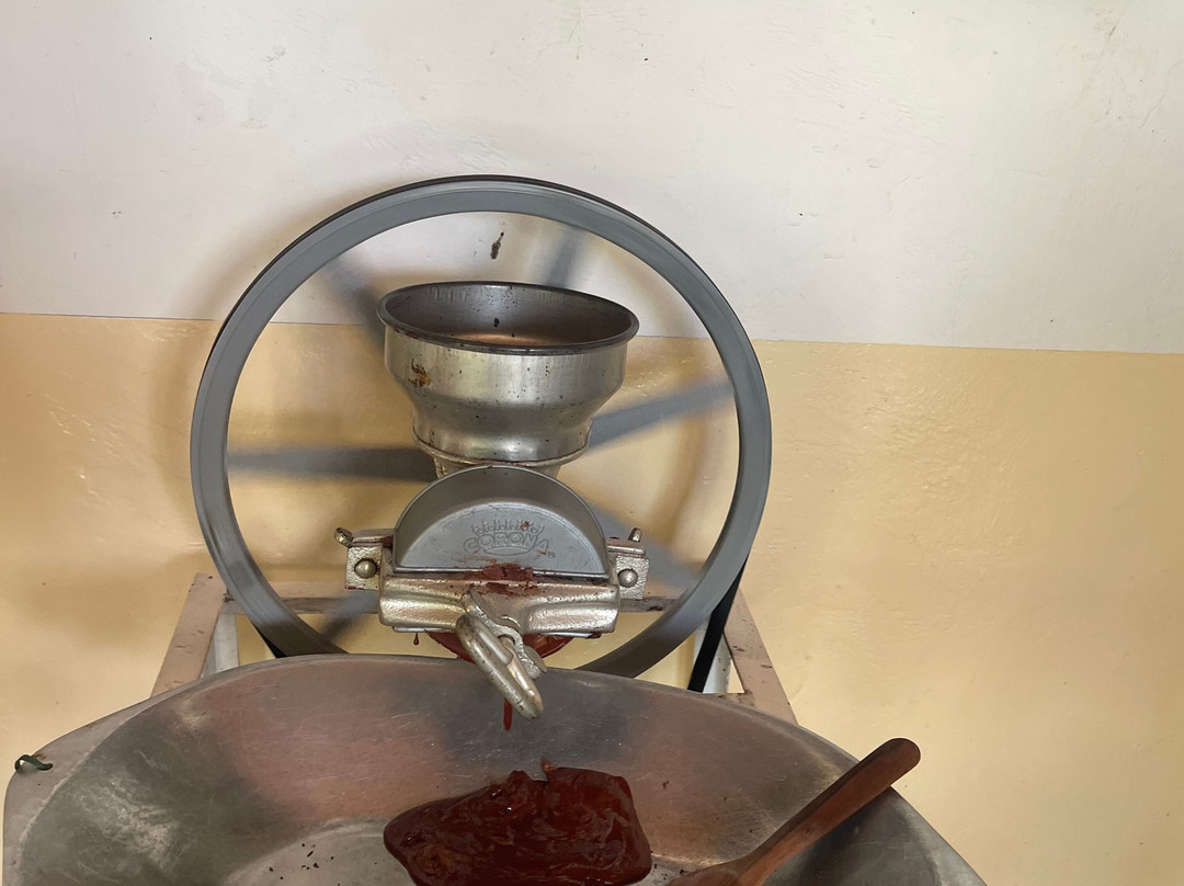 Finca la Alejandra-Montenegro必去景点