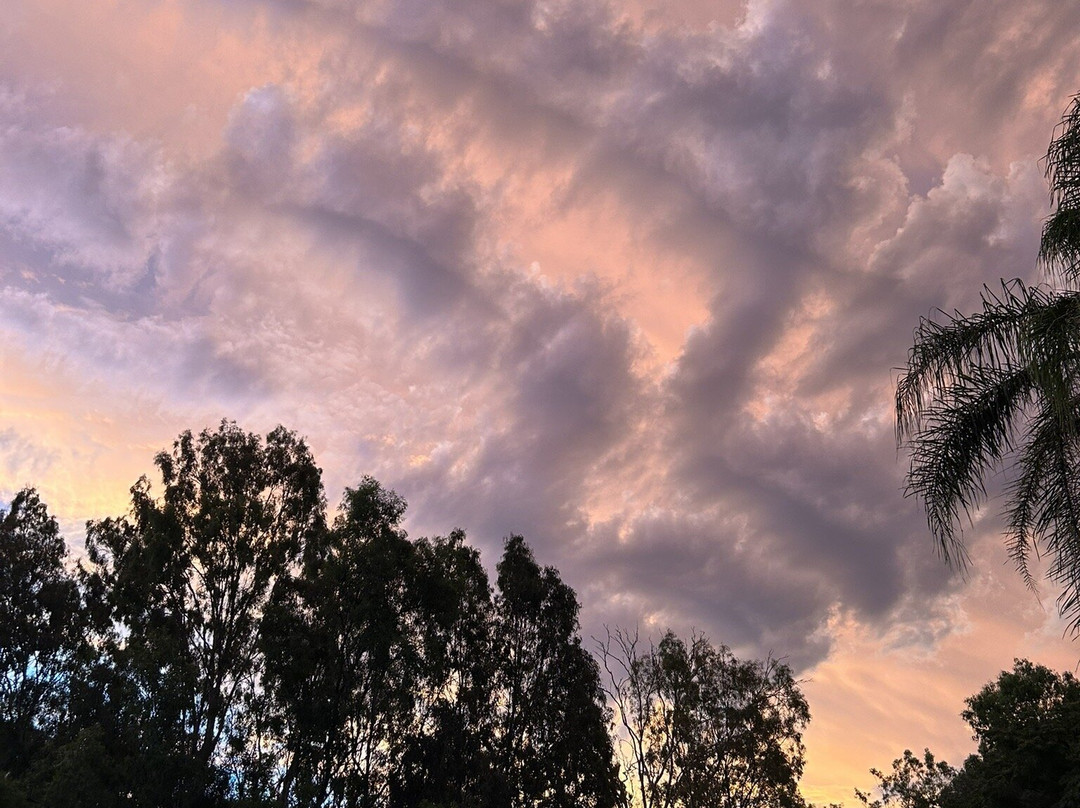 Gayndah A Motel主图