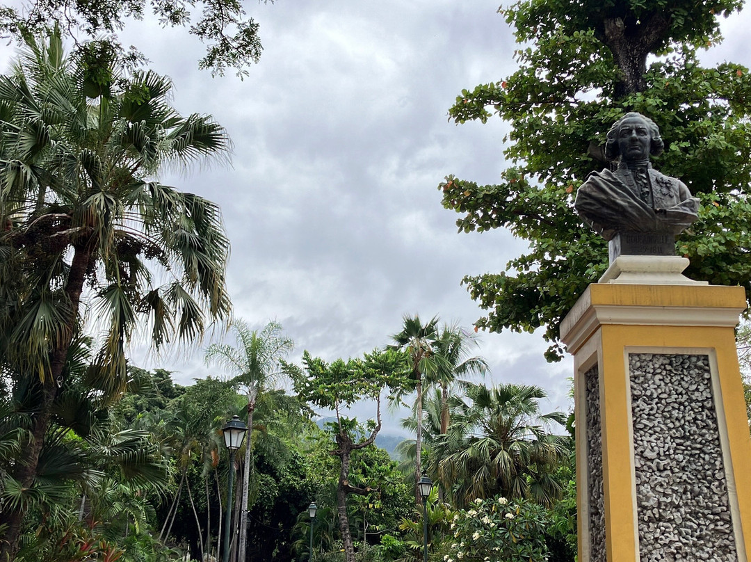 Bougainville Park景点图片