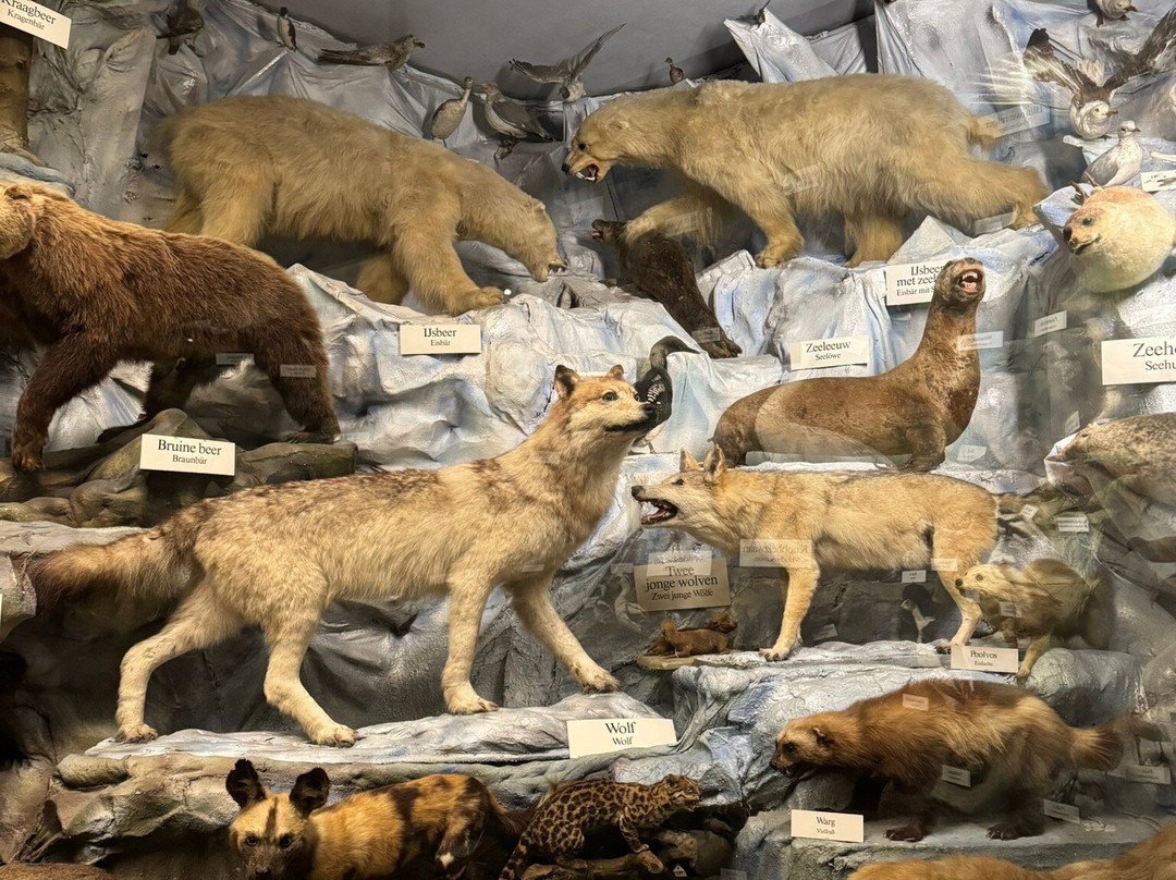 Missiemuseum Steyl景点图片
