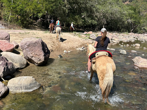 Rancho El Charro-瓦拉塔港必去景点