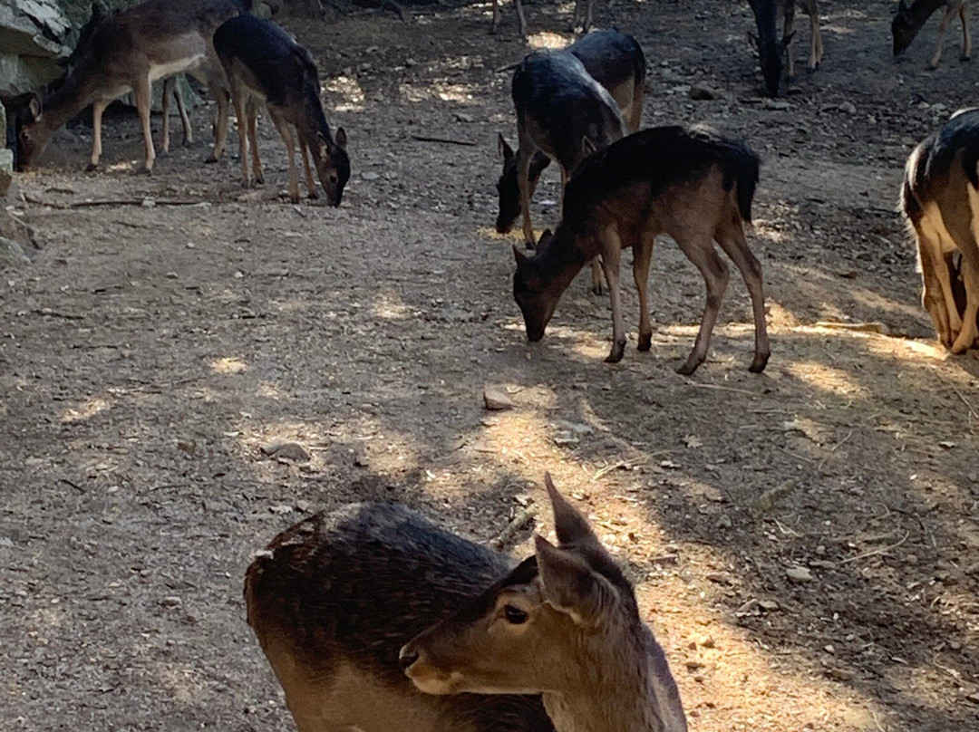 Parco Donnortei景点图片