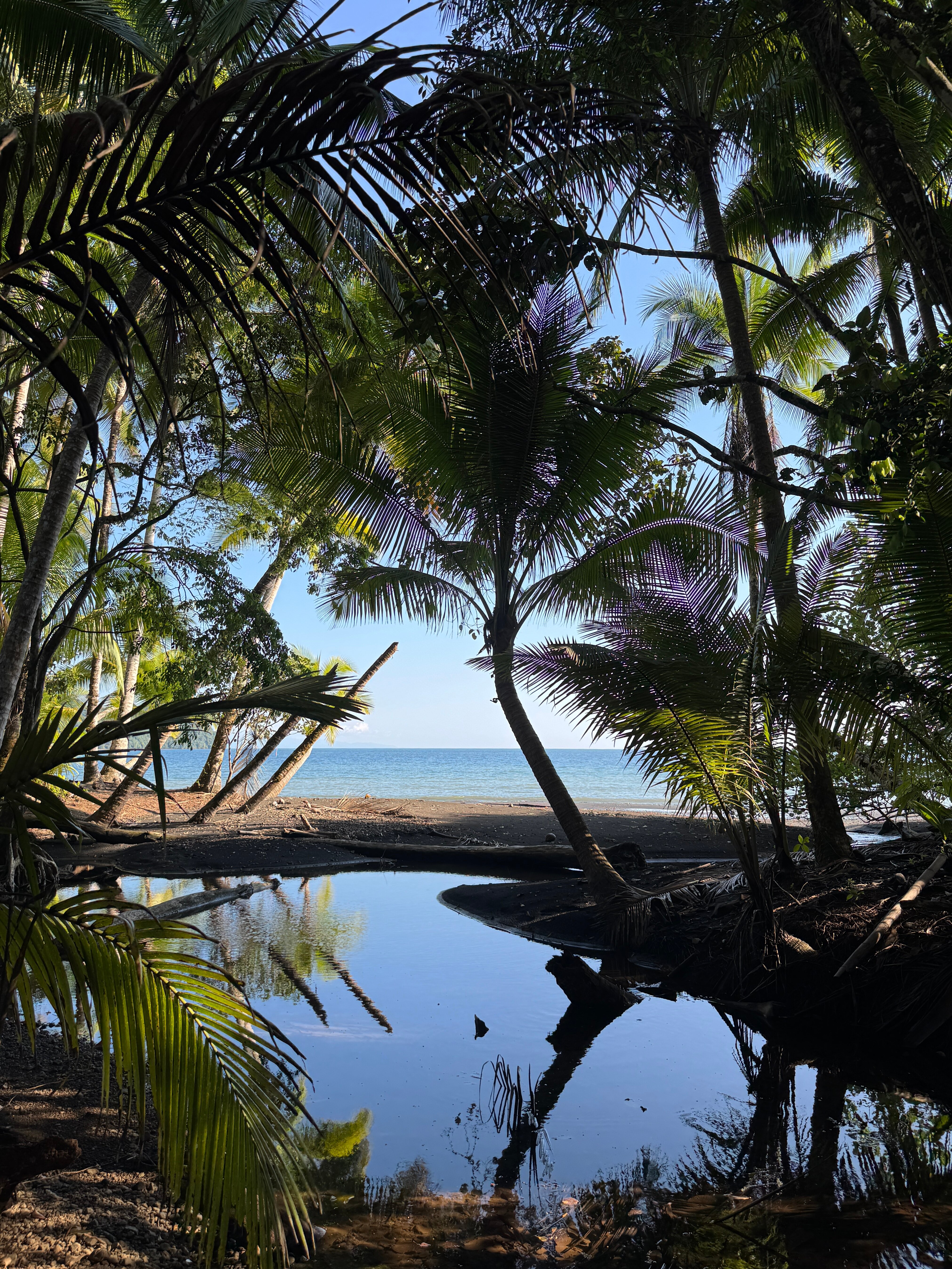 Playa Cativo Lodge-泳池