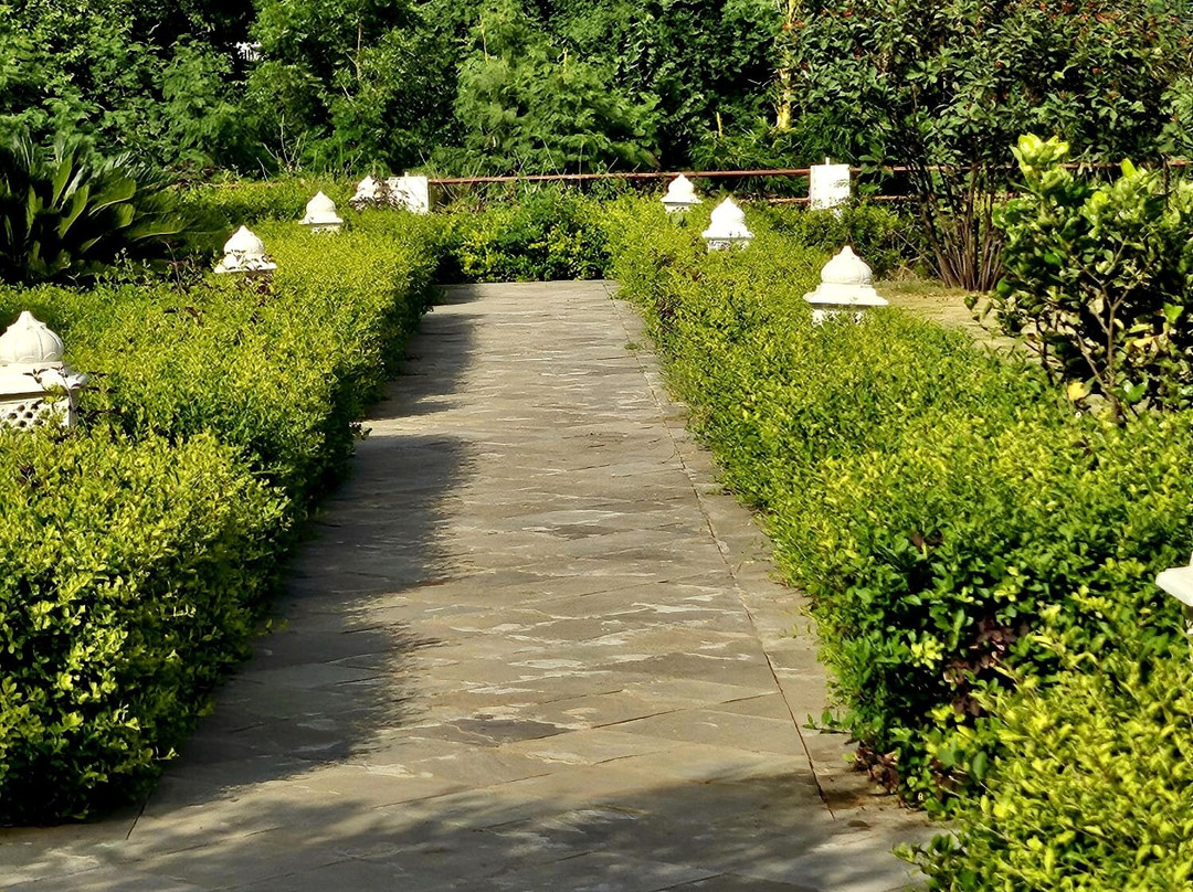 Sariska Safari Lodge主图