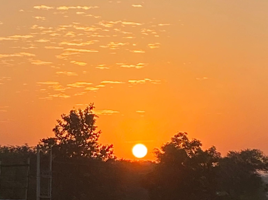 Sariska Safari Lodge主图