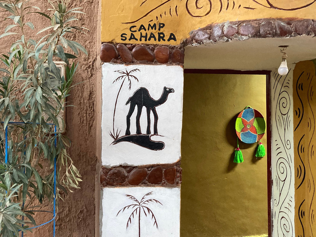 Camp Sahara at Dar Al Fananna-迈哈米德必去景点