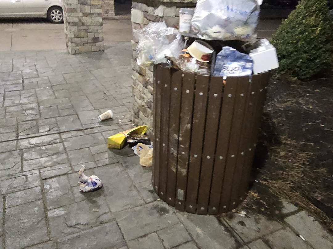 Comfort Inn & Suites Piqua-Near Troy-I75主图