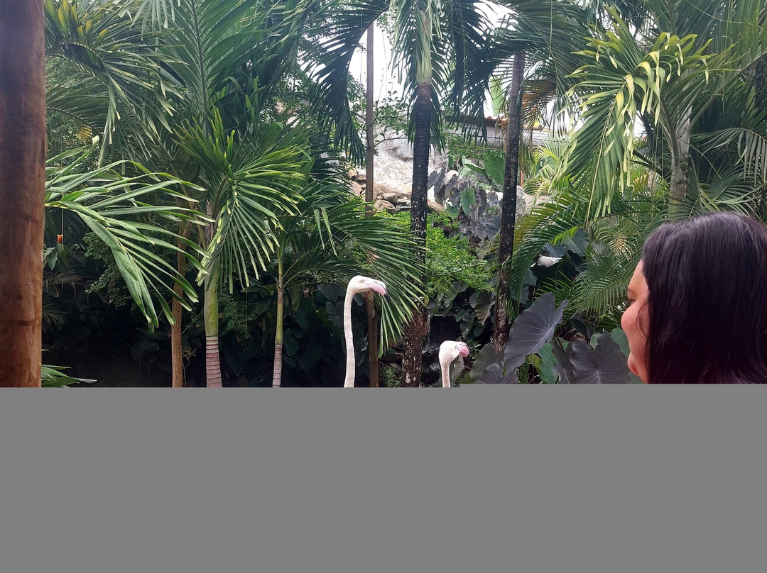 Ecopark Sol e Mar-Maragogi必去景点