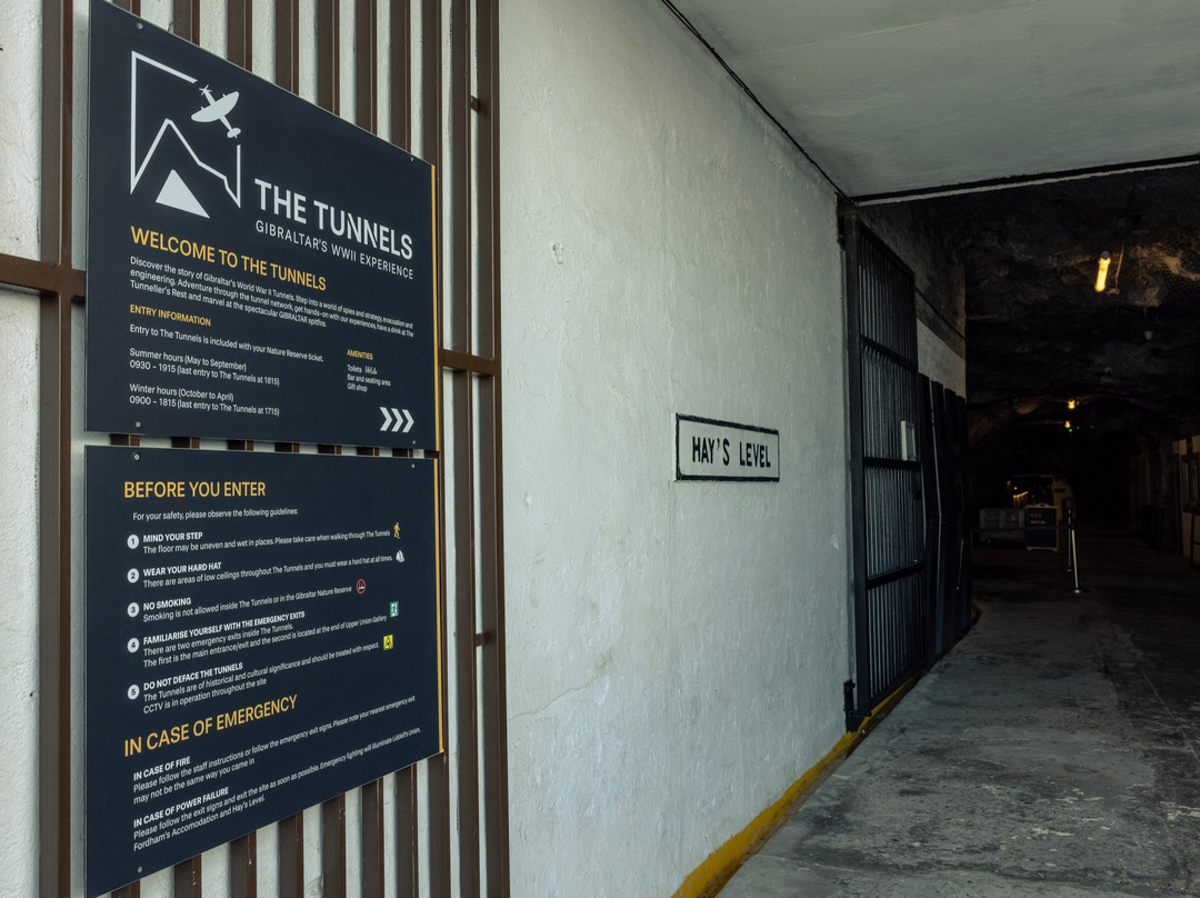 World War II Tunnels