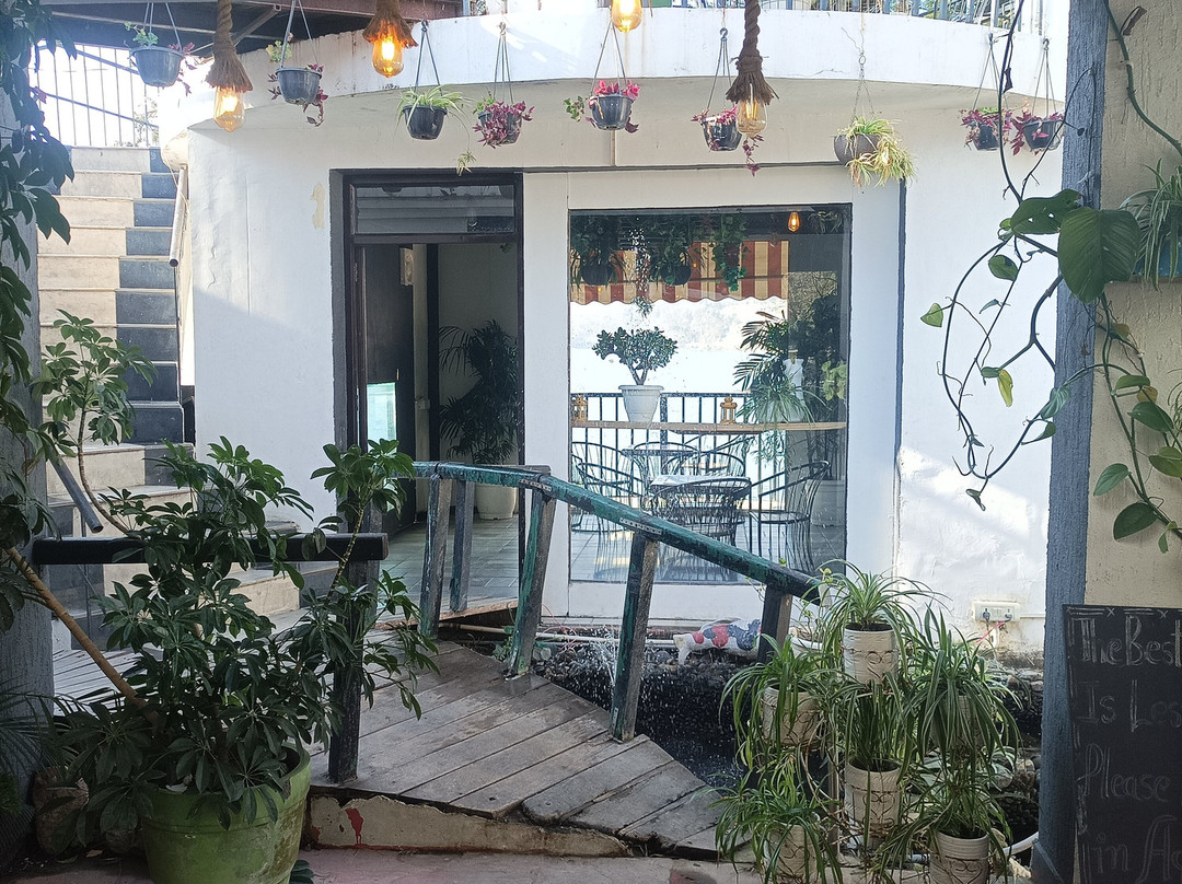 Aquarium Island Café景点图片