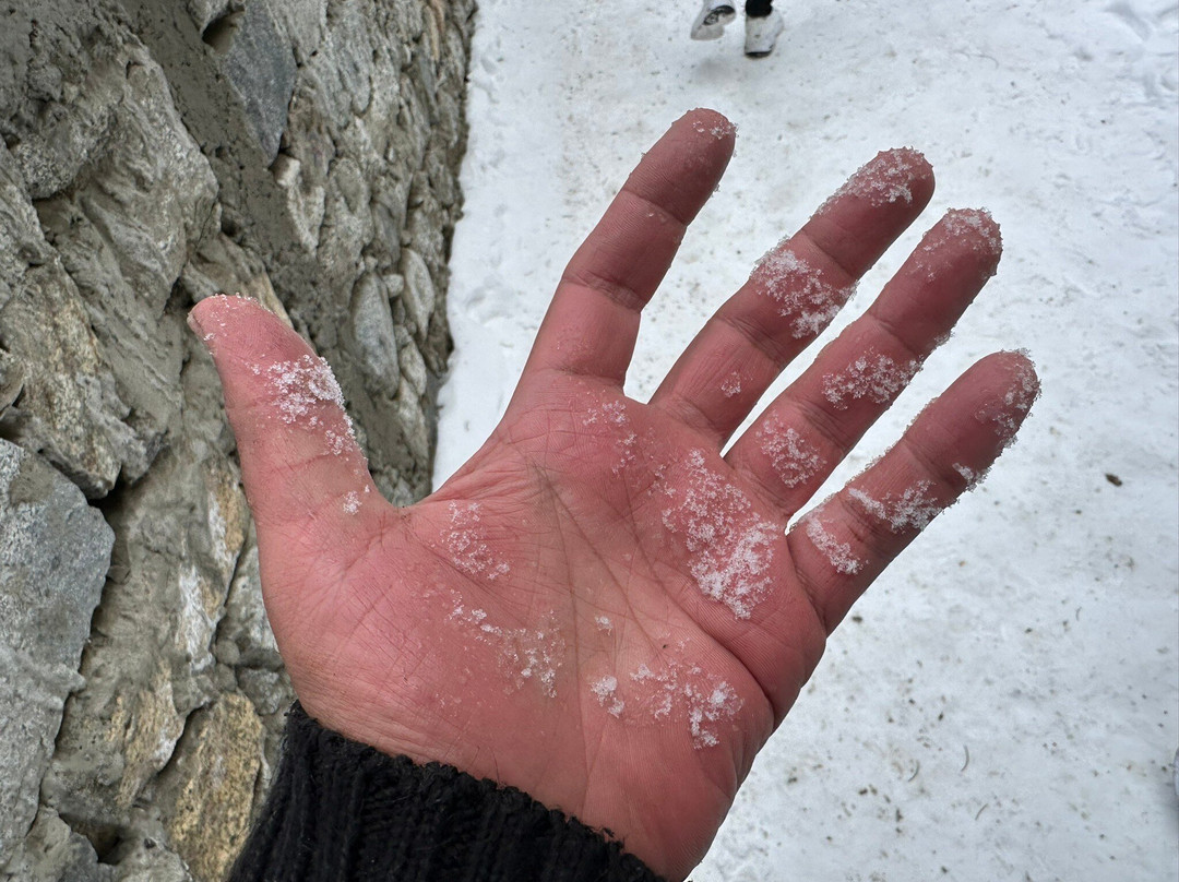 Naltar Lake-Naltar Valley必去景点