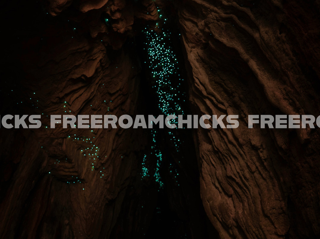Limestone Creek Glow Worms Caves景点图片