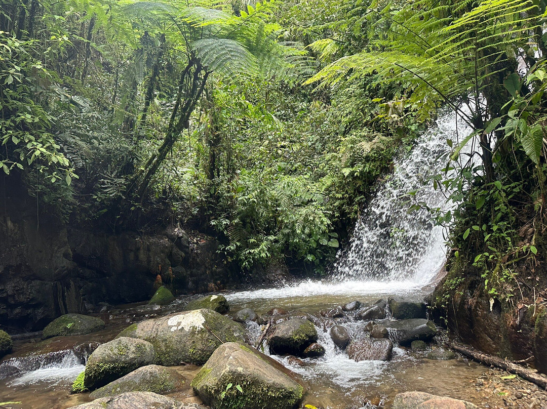 Maquipucuna Reserve-基多必去景点