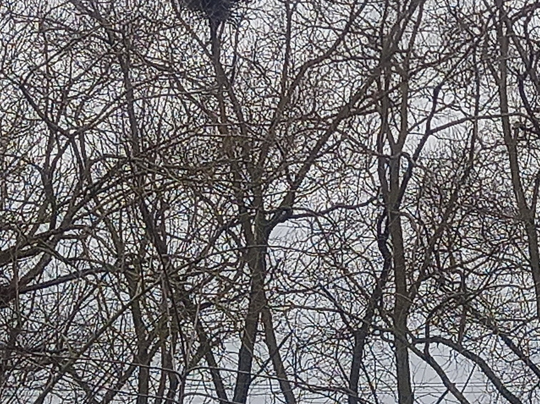 Tiggywinkles Wildlife Hospital Visitor's Centre景点图片