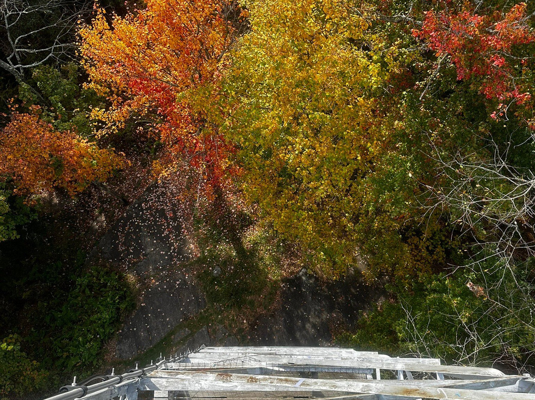 Kane Mountain Fire Tower-Caroga Lake必去景点