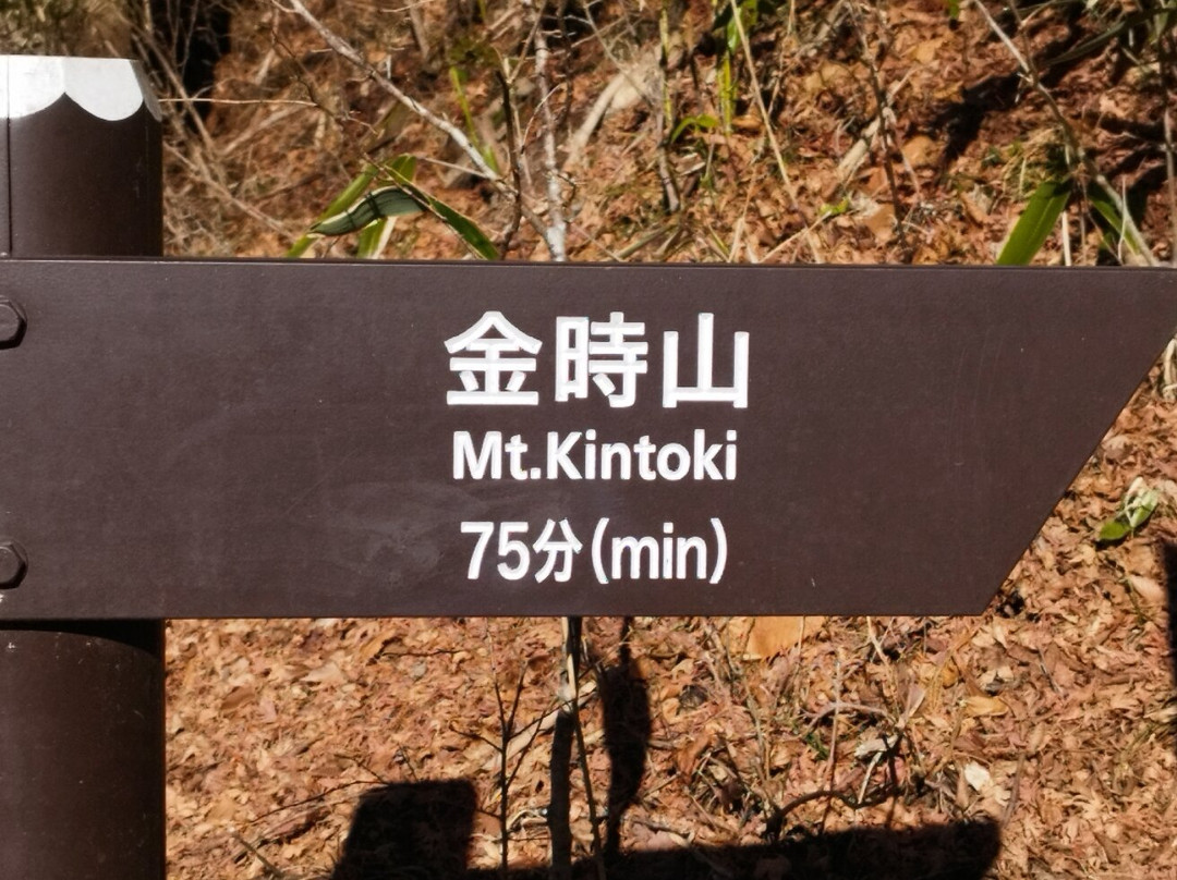 Mt. Kintoki-箱根町必去景点