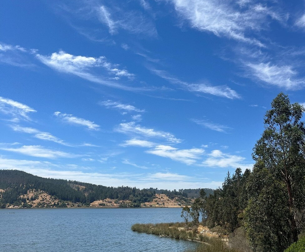 Reserva Nacional Laguna Torca-Llico必去景点