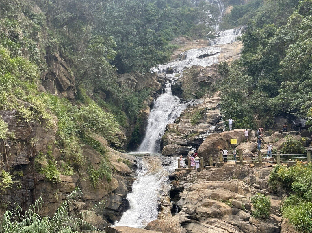 Exotic Island Tours - Private Driver Sri Lanka景点图片