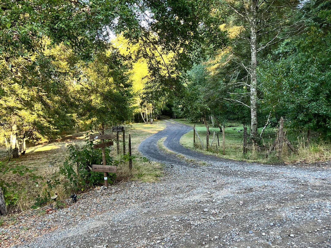 ELEMENTOS Eco Lodge主图