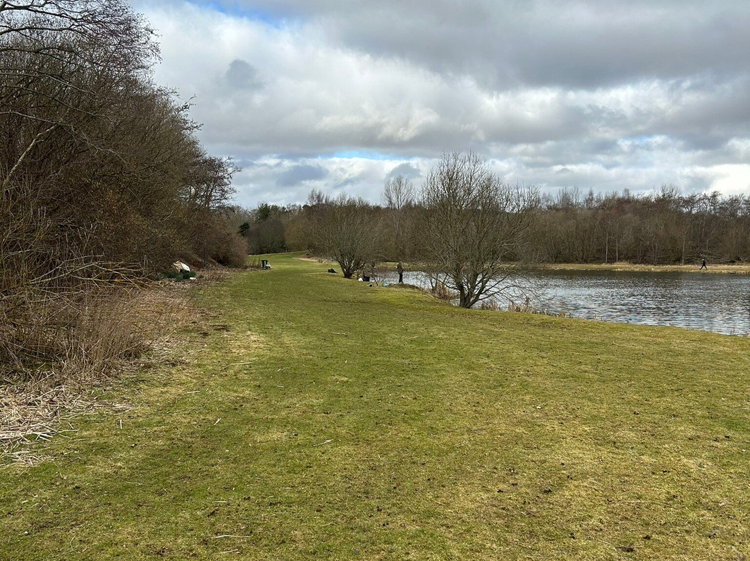 Loch Insch Fishery-Insch必去景点