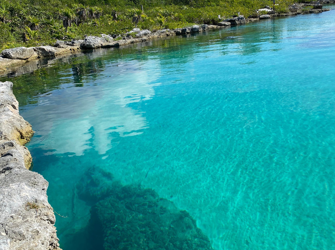 Waternauts Dive Center-梅里达必去景点