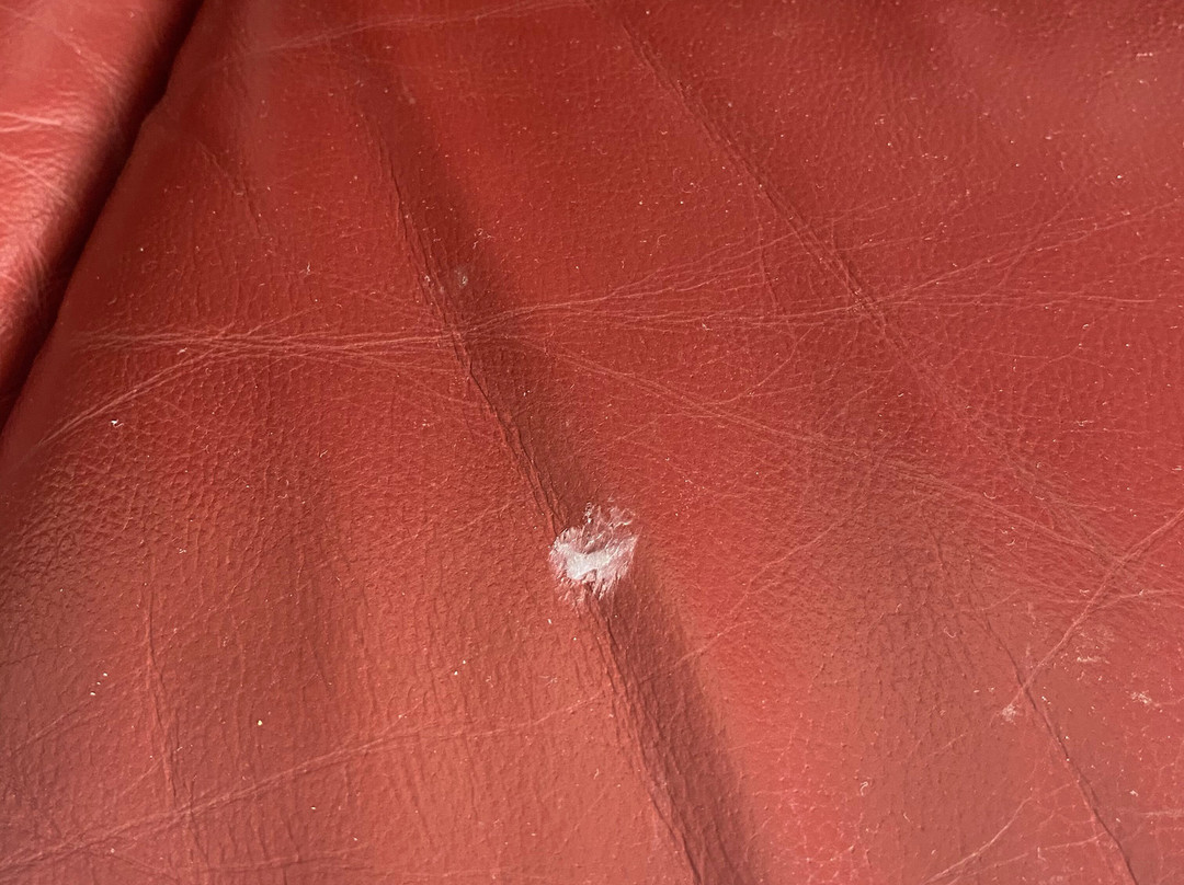 爱丁堡汽车旅馆主图