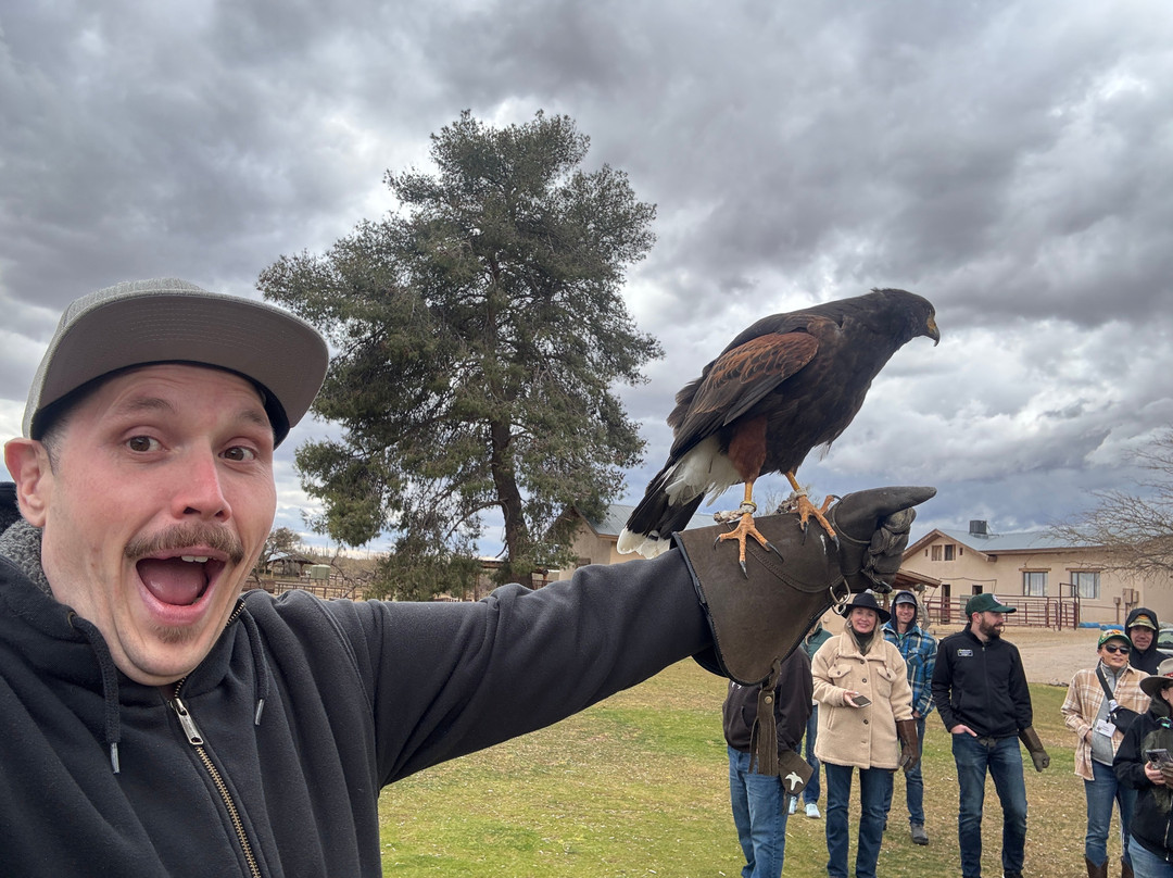 Sky Island Falconry Experience-图森必去景点