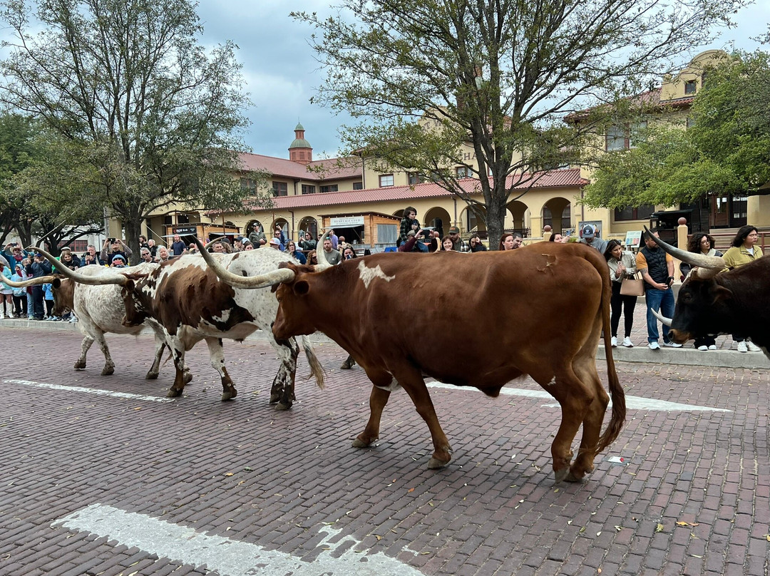 Exchange Avenue-沃思堡必去景点