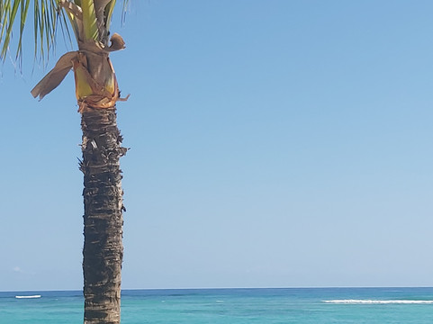 Arena Gorda Beach-蓬塔卡纳必去景点