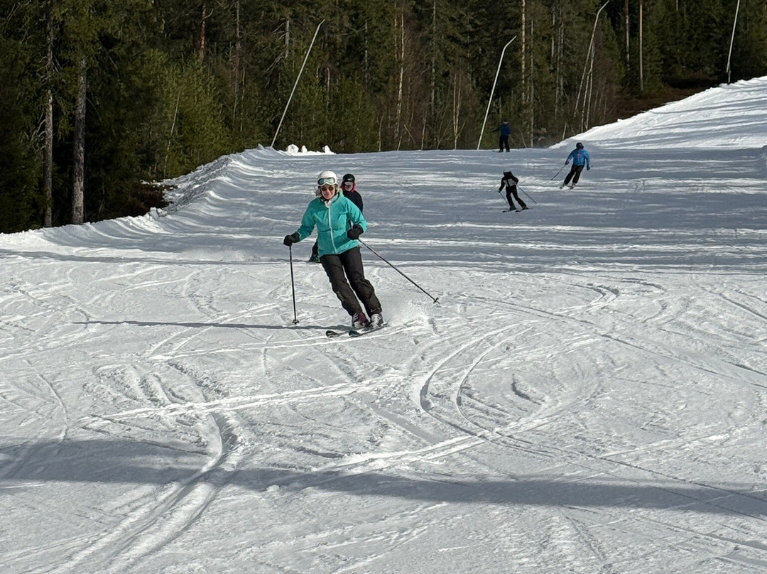 Romme Alpin-Borlange必去景点