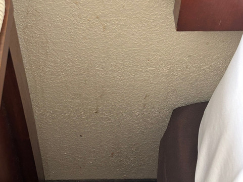 阿尔伯克基市中心舒适套房酒店主图