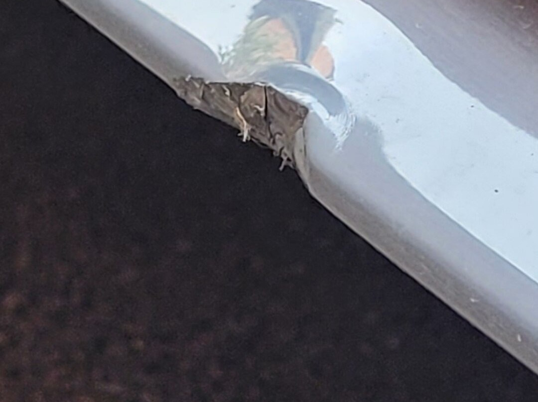 Heathrow Cottages主图