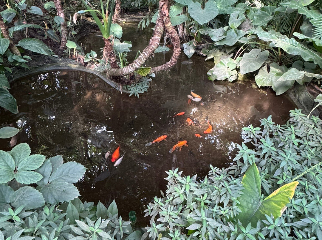 Palmiarnia Poznanska (Palmenhaus Poznan)-波兹南必去景点