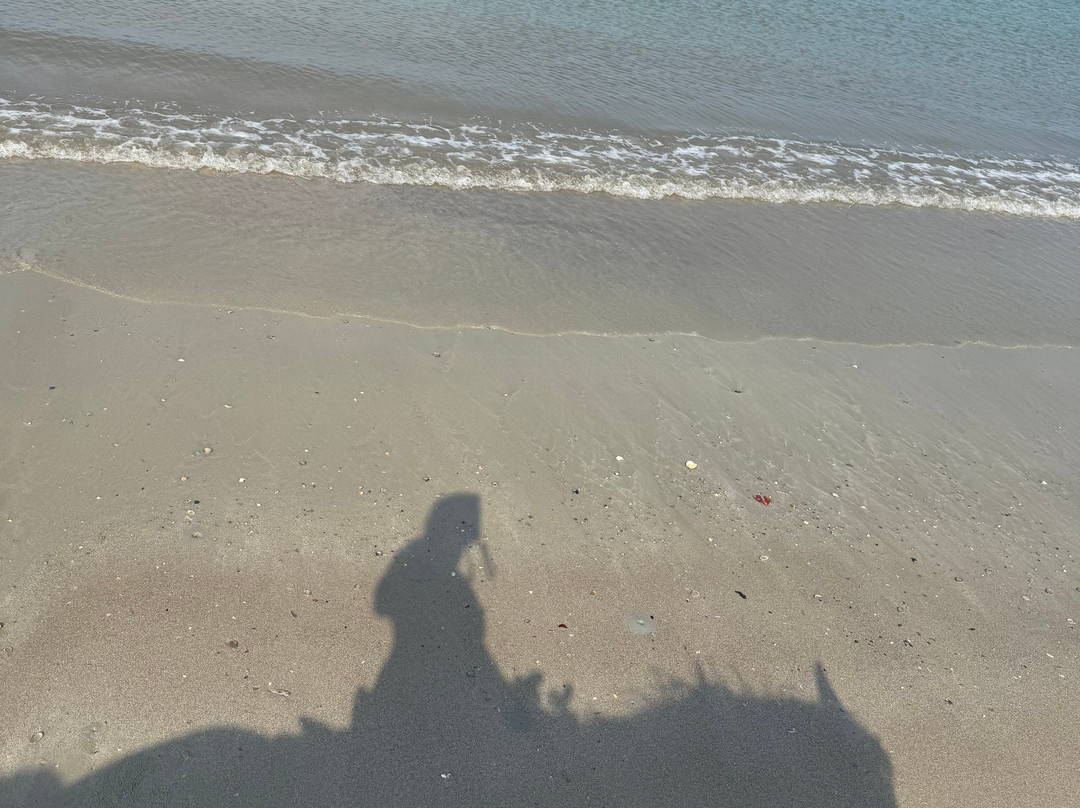 Pirates Bar Horse riding-兰塔岛必去景点