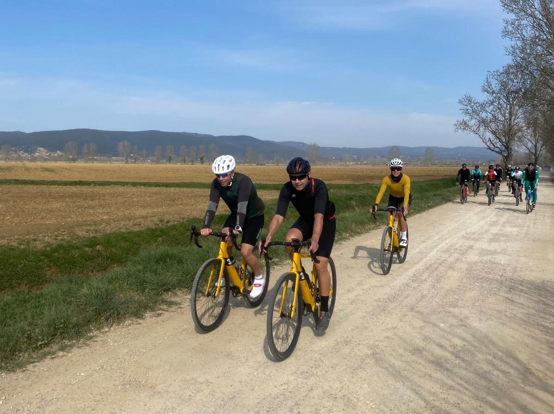 Beroutes - Events & Cycling Services景点图片