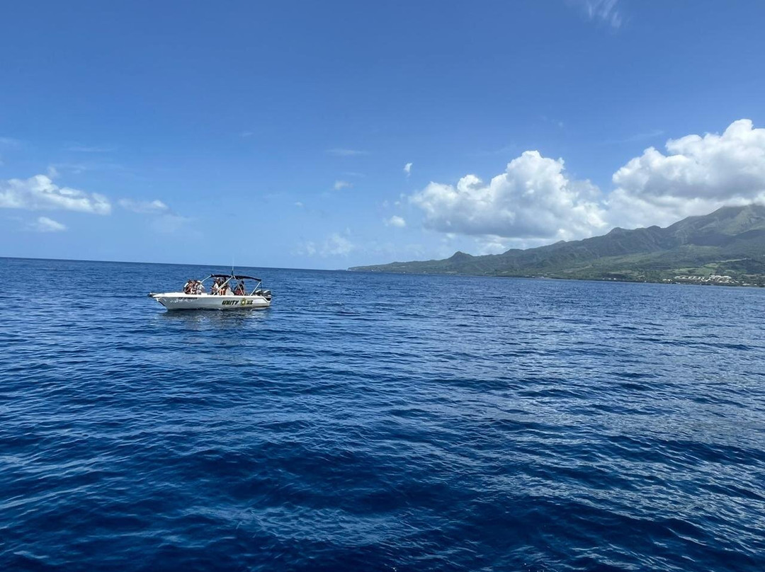 Unity Lines Caraïbes-Riviere-Pilote必去景点