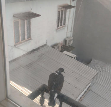 皇后大酒店主图