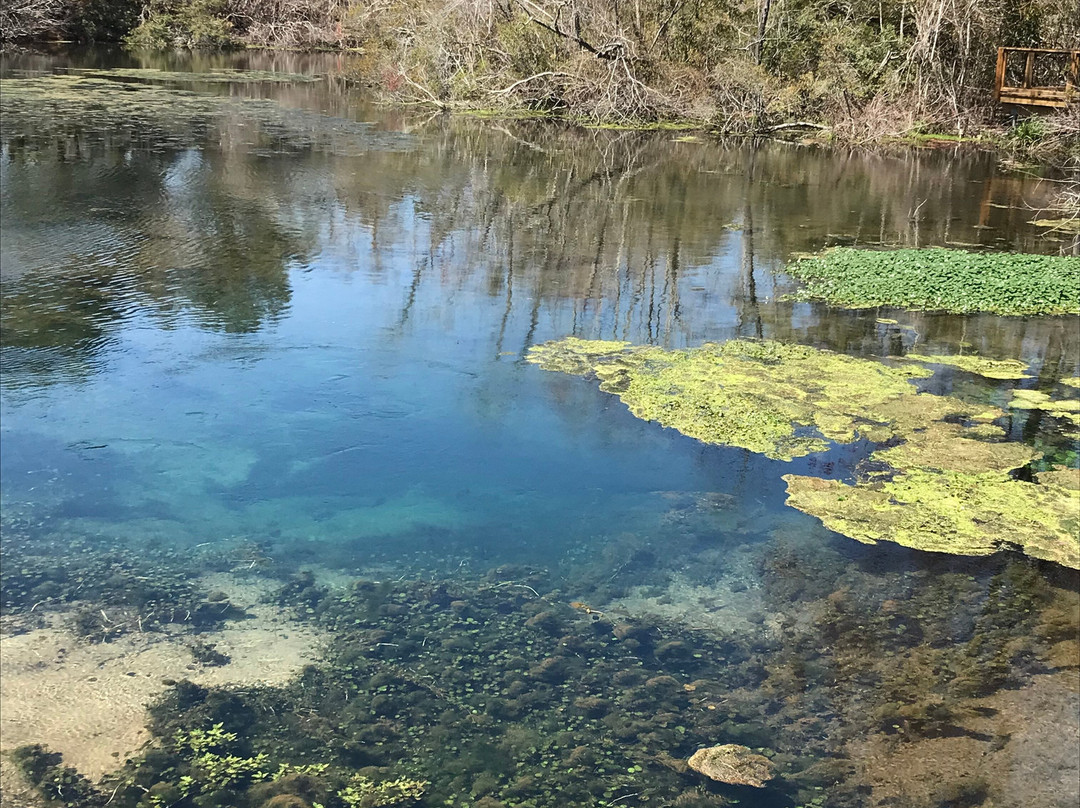 Magnolia Springs Park-Millen必去景点