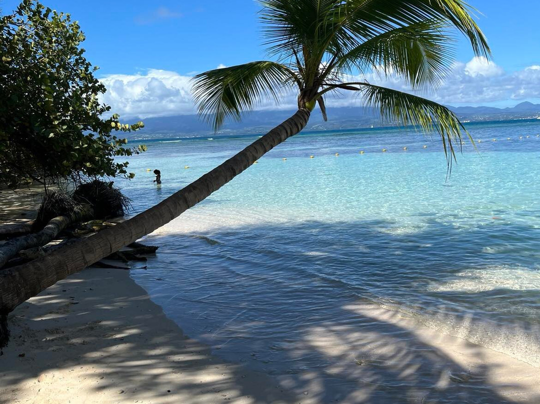 Les Bieres de la Lezarde-Petit-Bourg必去景点