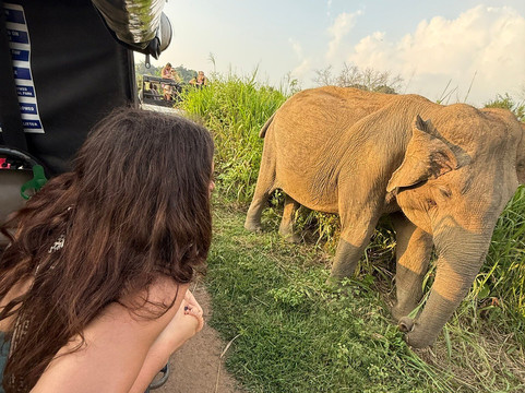 Kavi Jeep Safari-锡吉里亚必去景点